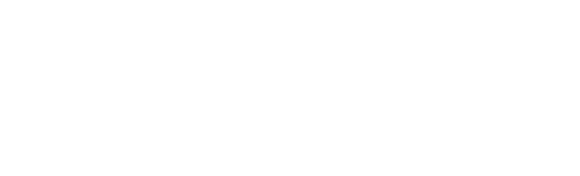 Motion Orthopedics